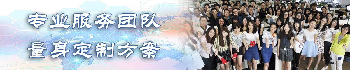 大连BI软件
